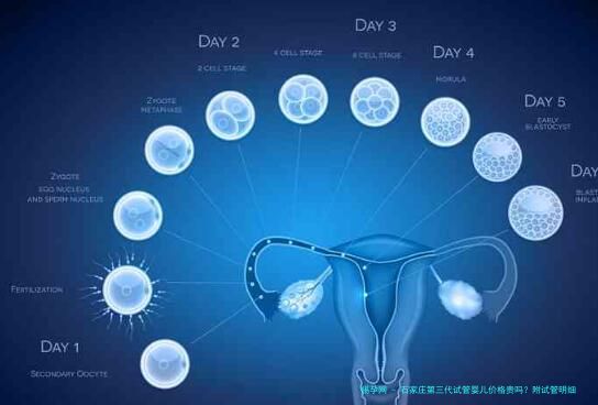 石家庄第三代试管婴儿价格贵吗？附试管明细参考