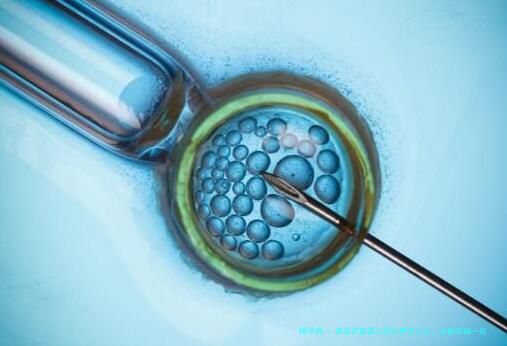 泰国试管婴儿医院费用汇总，全新明细一览