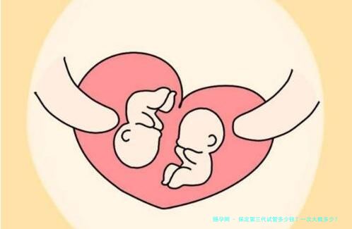 保定第三代试管多少钱？一次大概多少？