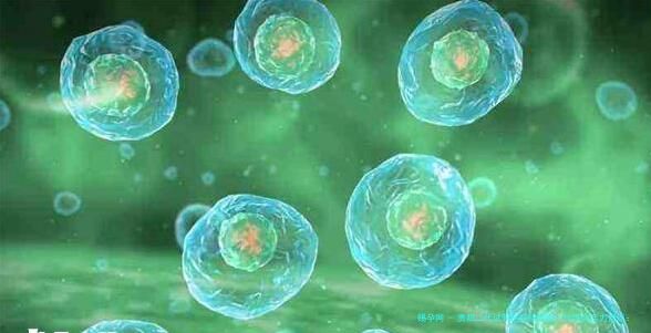 贵阳二代试管医院排名前十位综合实力盘点：附公立私立费用、对比及选择指南（2025新版）