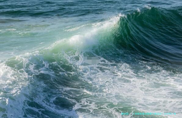 广州鲜胚做试管哪个医院好？2025年广州鲜胚移植医院前十排名、数据、费用对比及选择指南全解析