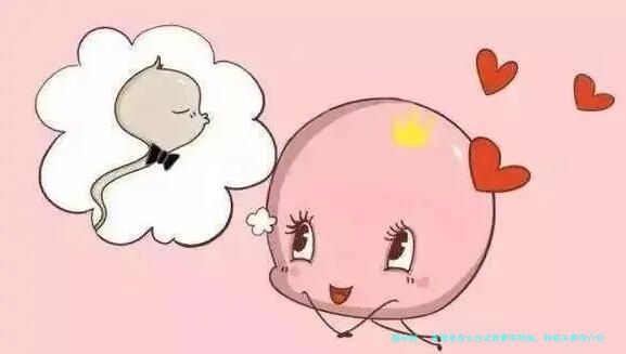 泰国单身女性试管费用明细，附相关费用介绍！