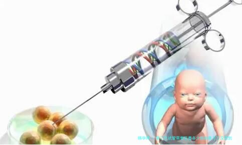 第三代试管需要花费多少钱结果万万没想到