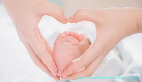 浙江省助孕医院试管婴儿生殖科？浙江省助孕医院试管婴儿助孕成功率？