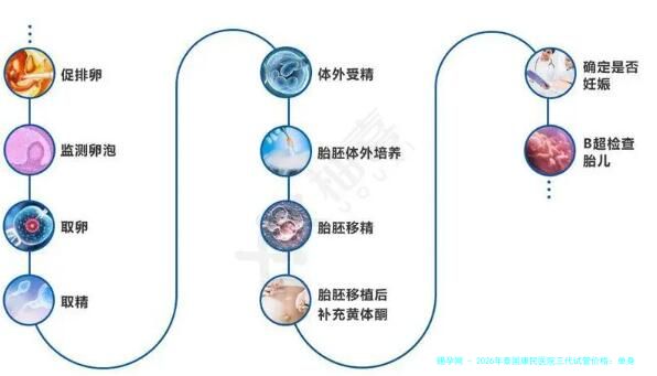 2026年泰国康民医院三代试管价格：单身女性不结婚，无证求子的医疗服务费清单