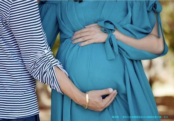 深圳三代试管医院实力口碑排名前十强：北大深圳医院、中山泌尿外科医院等正规机构技术解析附生殖医生精选指南