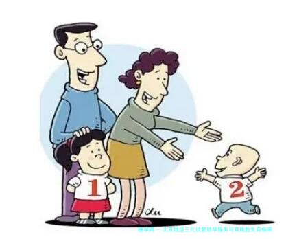 北京地区三代试管助孕服务与双胞胎生育指南：北京大学第三医院、北京协和医院等机构深度对比及规模分析