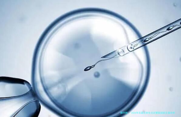 2026年石家庄防生化试管医院前五强分析：附主流医院着床保障方案与医生推荐