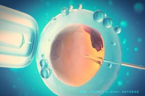 深圳非婚生子且已成功落户：还会不会危及宝宝之后的升学