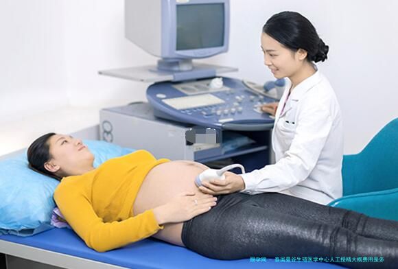 泰国曼谷生殖医学中心人工授精大概费用是多少？