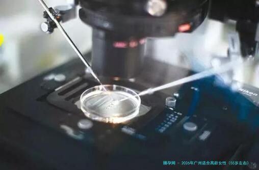 2026年广州适合高龄女性（55岁左右）的试管婴儿医院实力盘点：中山一院、广医三院等多家机构详细解析