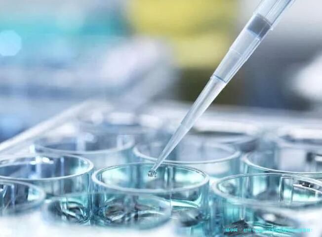 杭州十大私立试管医院排名2026最新版！附主流机构优势与避坑建议