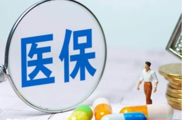 2026年上海试管婴儿医院综合指南：公立生殖中心与私立机构技术对比及医生选择建议