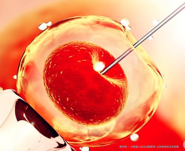试管婴儿常见问题解答-从到移植的全流程解析