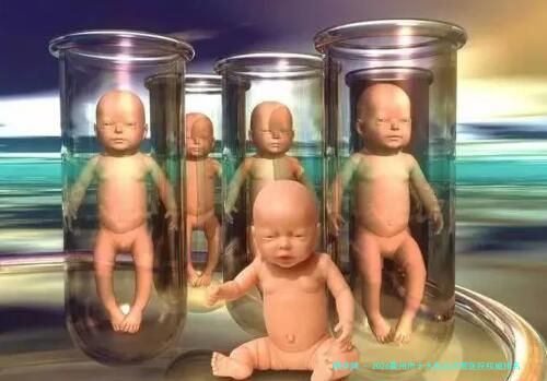 2026衢州市十大私立试管医院权威排名 口碑好成功率高的机构推荐