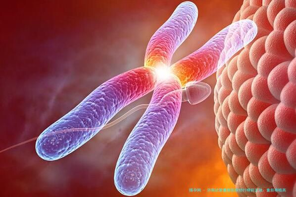 济南试管囊胚医院排行榜前五强：囊胚移植高、技术好、费用透明的医院及医生推荐