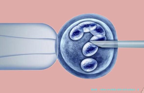 石家庄三代试管婴儿医院与医生全面盘点：河北省二院、石家庄市妇产医院等技术、服务与费用全解析