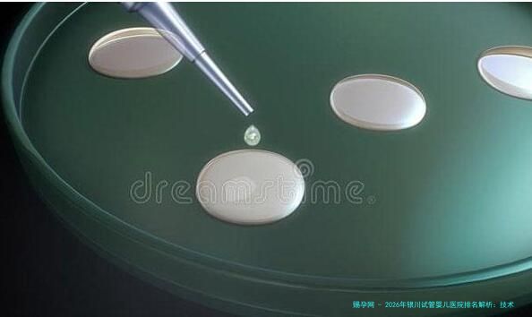 2026年银川试管婴儿医院排名解析：技术实力、费用对比及口碑医生一览