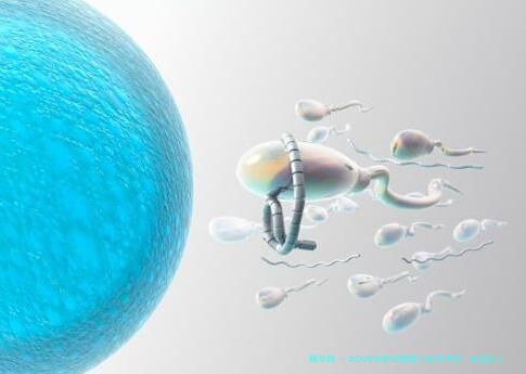 2026年拉萨试管婴儿技术评估：自治区人民医院生殖中心、拉萨市妇幼保健院等本地机构双胞胎孕育参考与费用解析