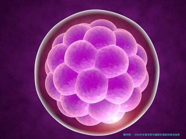 2026年长春冻卵与辅助生殖医院精选指南：五家靠谱机构价格技术全解析