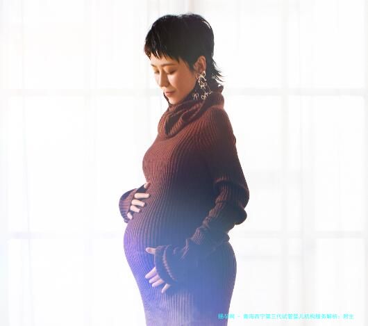 青海西宁第三代试管婴儿机构服务解析：附主要医院技术与费用清单