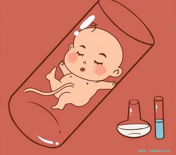 美国试管婴儿多少钱