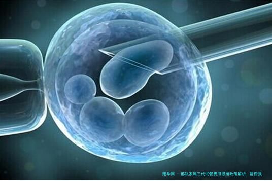 部队家属三代试管费用报销政策解析：能否报销及条件说明