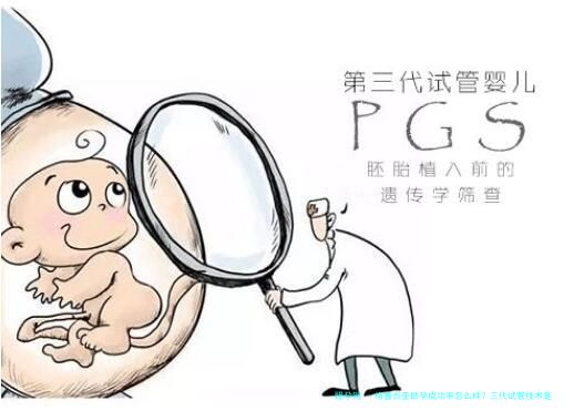 格鲁吉亚助孕成功率怎么样？三代试管技术是关键因素