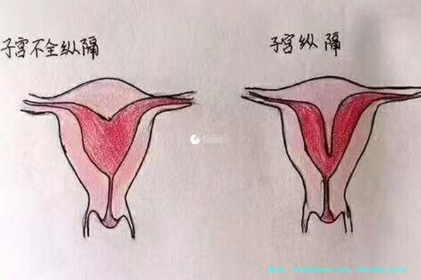 做试管周期是什么意思？详解试管婴儿全流程