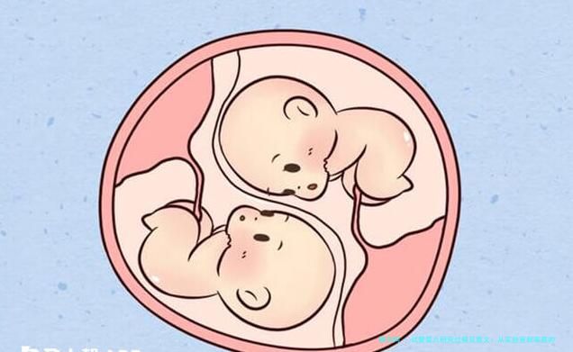 试管婴儿研究过程及意义：从实验室到家庭的奇迹之路