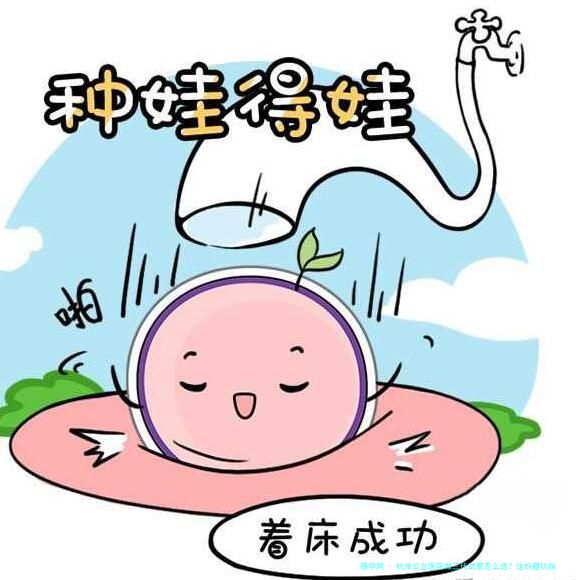 杭州公立医院做三代试管怎么选？这份避坑指南收藏好