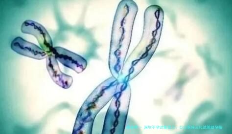 深圳不孕试管婴儿：公立医院三代试管助孕指南
