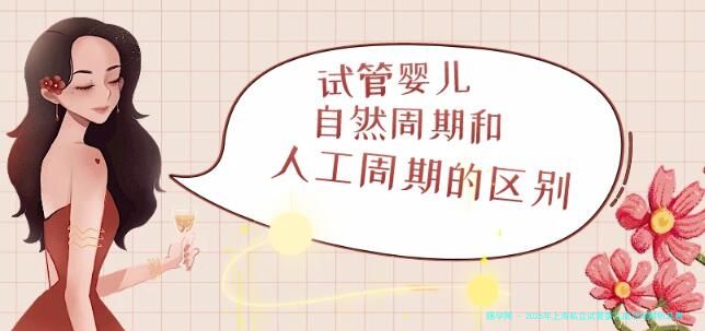 2026年上海私立试管婴儿成功率解析及费用一览