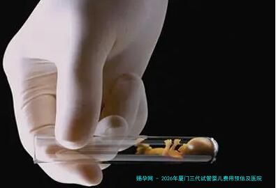 2026年厦门三代试管婴儿费用预估及医院推荐